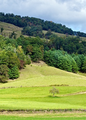 valley