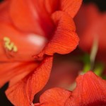 IMG_0232