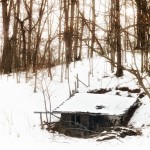 IMG_1010