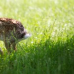 IMG_1094