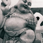 IMG_1286