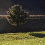 IMG_1848