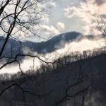 IMG_1986