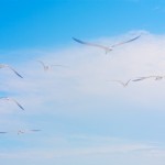 IMG_2894