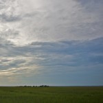 IMG_2990