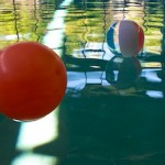 IMG_3017