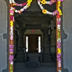 IMG_3787