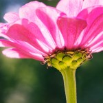 IMG_4505