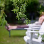 IMG_4521