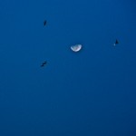 IMG_4826