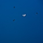 IMG_4826