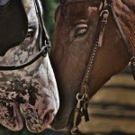 IMG_5114