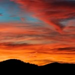 IMG_5238