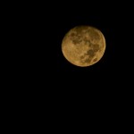 IMG_6463