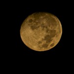 IMG_6463 (2)