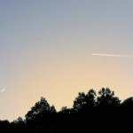 IMG_8114