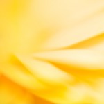 IMG_8216