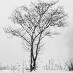 L1050398