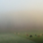 L1050575