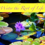 WaterRootofLife