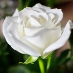 blog-post-2014-10-17