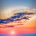 freedom-conditioning