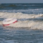 kiawah 181IMG_9370