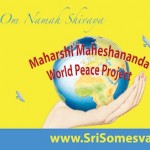 mm-world-peace-project