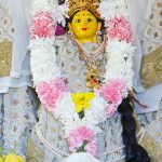 mount-soma-update-2016-08-30