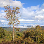 ms-update-2018-08-29-2