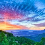 mt-soma-update-2016-06-18