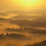 mt-soma-update-2016-11-21-2