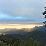 mt-soma-update-2018-03-06-2