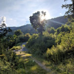 mt-soma-update-2018-09-10-1