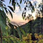 mt-soma-update-2018-10-18