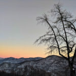 mt-soma-update-2018-12-22-2