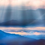 student-update-2016-01-17