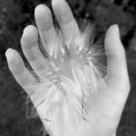 student-update-2018-11-02