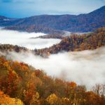 surya-update-2016-11-12