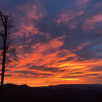 surya-update-2017-04-10-2